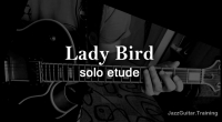 Lady Bird